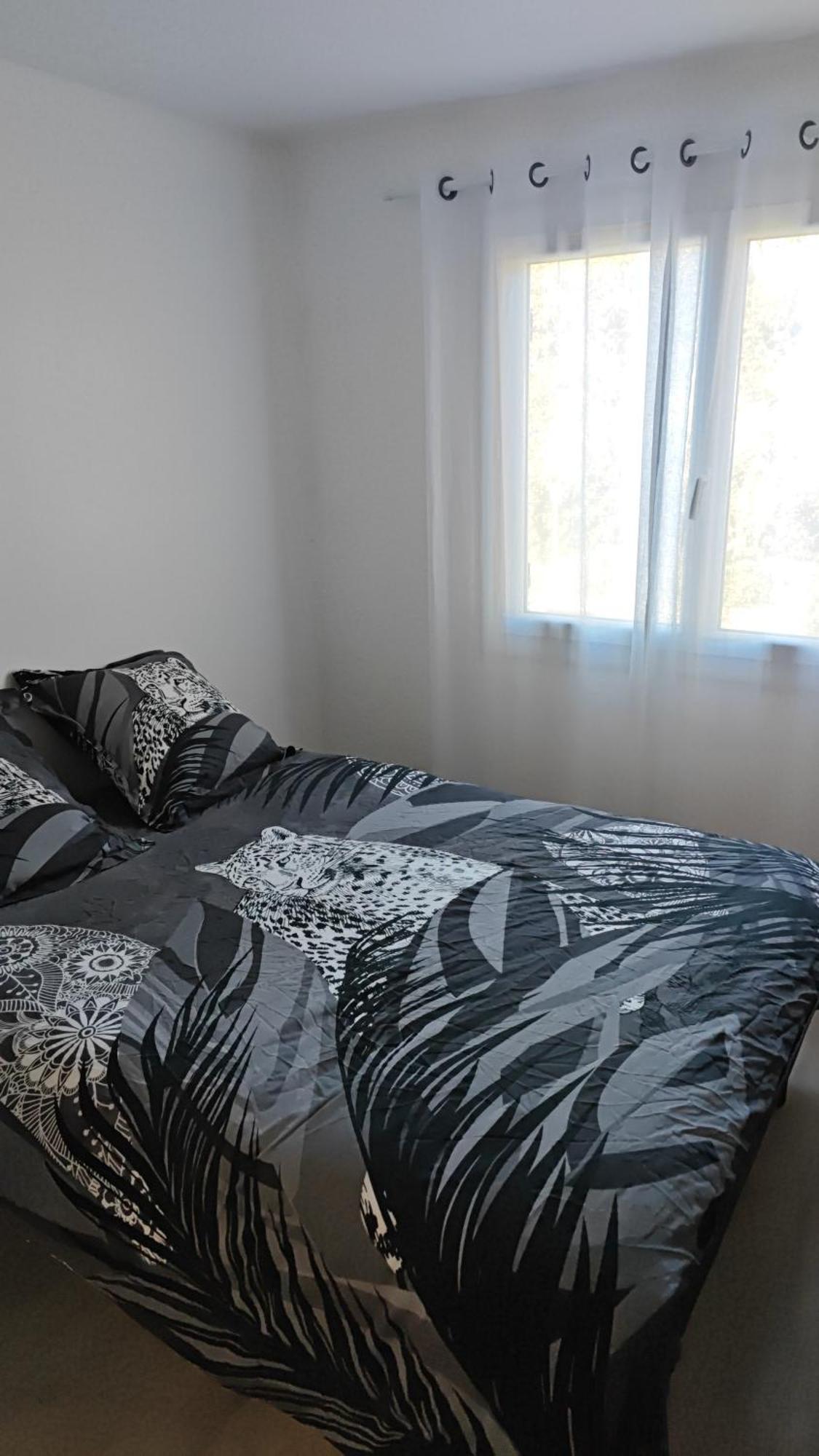 Valentinvtc Location Appartement Agde Buitenkant foto